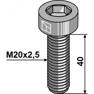Болт с внутр. шестигранником - M20x2,5 - 10.9