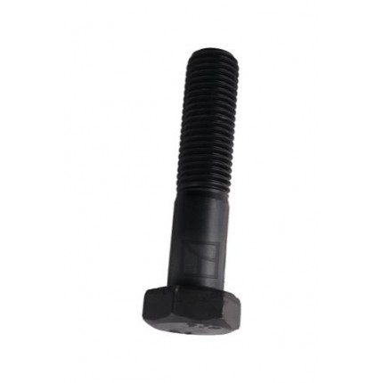 Болт со стопорной гайкой M20 x 2,5 - 8.8
